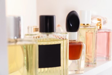 Photo of Different bottles of luxury perfume on shelf in store, closeup