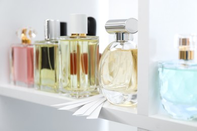 Photo of Different bottles of luxury perfume and fragrance blotters on shelf in store, closeup