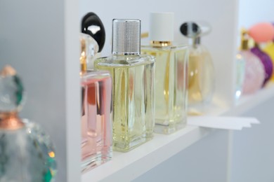 Photo of Different bottles of luxury perfume and fragrance blotters on shelf in store, closeup