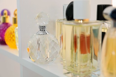 Photo of Different bottles of luxury perfume on shelf in store, closeup