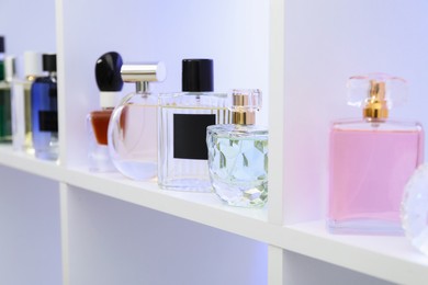 Different bottles of luxury perfume on shelf in store, closeup