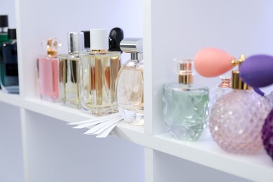 Photo of Different bottles of luxury perfume and fragrance blotters on shelf in store, closeup