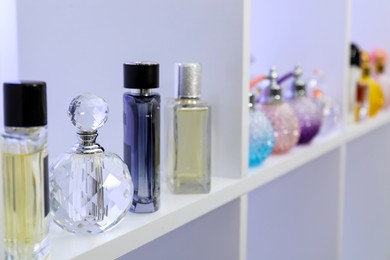 Photo of Different bottles of luxury perfume on shelf in store, closeup