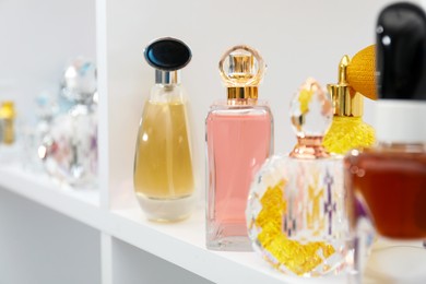 Photo of Different bottles of luxury perfume on shelf in store, closeup