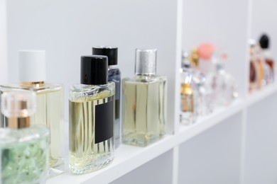 Photo of Different bottles of luxury perfume on shelf in store, closeup