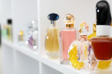 Different bottles of luxury perfume on shelf in store, closeup