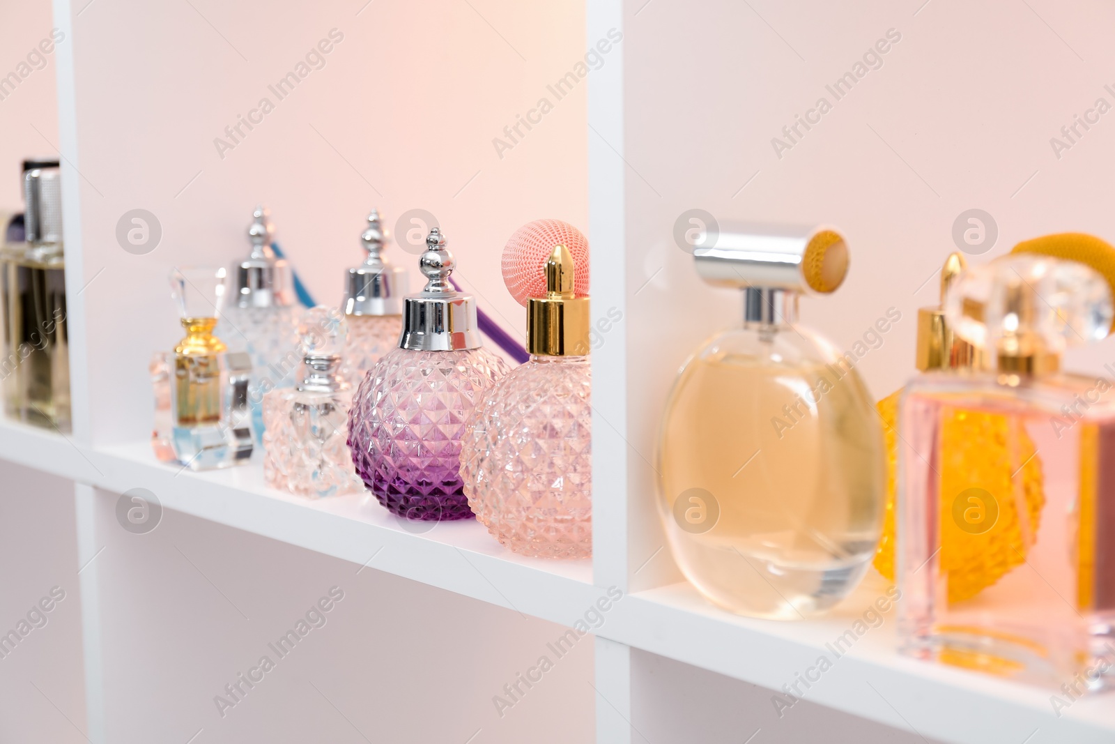 Photo of Different bottles of luxury perfume on shelf in store, closeup