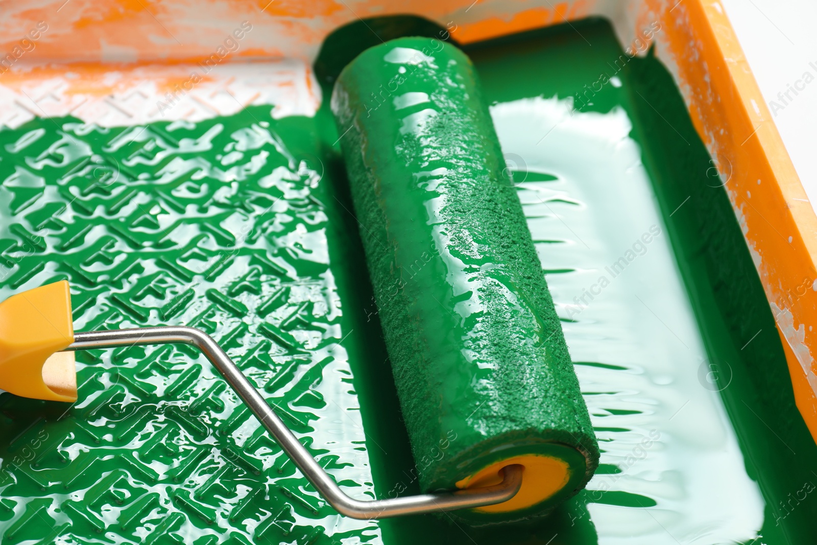 Photo of Green paint and roller in tray, closeup