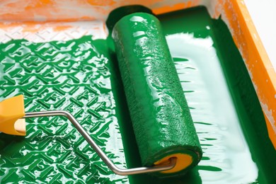 Green paint and roller in tray, closeup