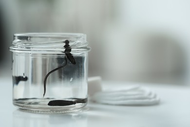 Photo of Medicinal leeches in glass jar and cotton pads on white table, closeup. Space for text