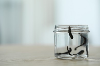 Photo of Medicinal leeches in glass jar on wooden table, closeup. Space for text