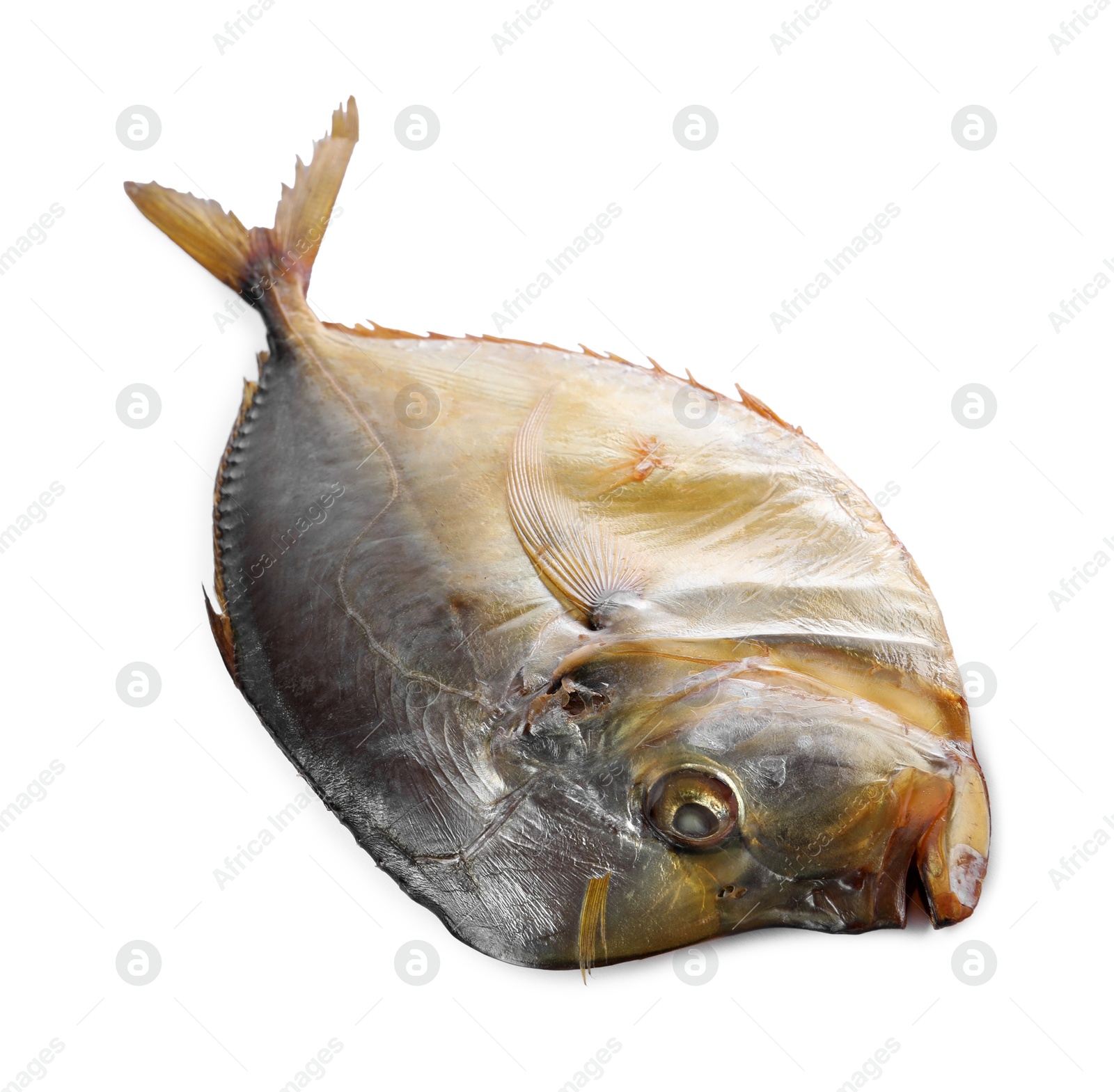 Photo of Dried moonfish isolated on white. Salty snack