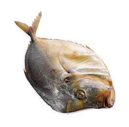 Photo of Dried moonfish isolated on white. Salty snack