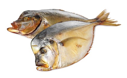 Dried moonfish isolated on white. Salty snack