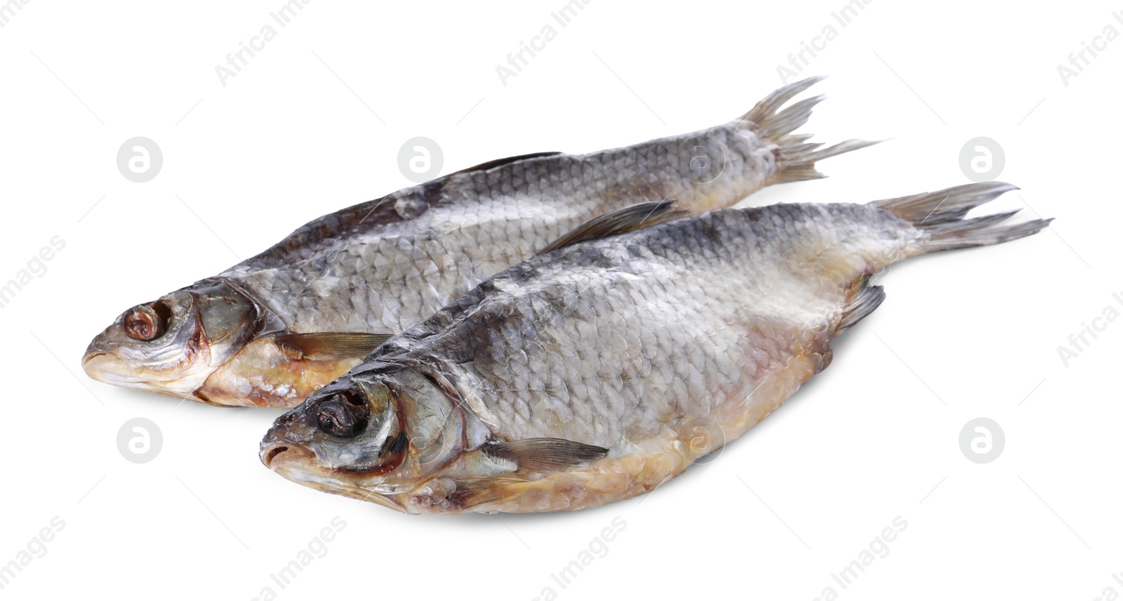 Photo of Dried salted roach fish isolated on white