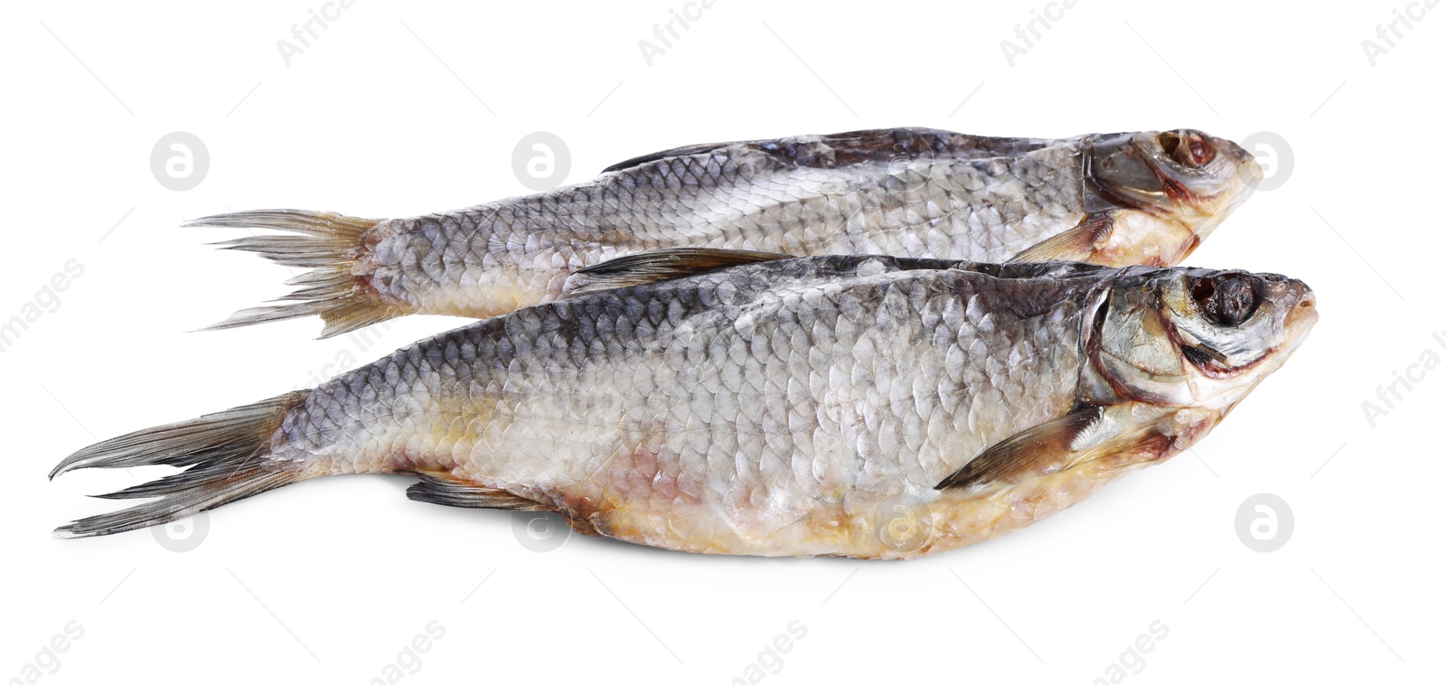 Photo of Dried salted roach fish isolated on white