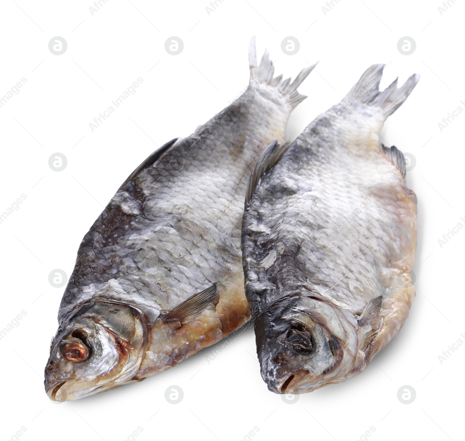 Photo of Dried salted roach fish isolated on white