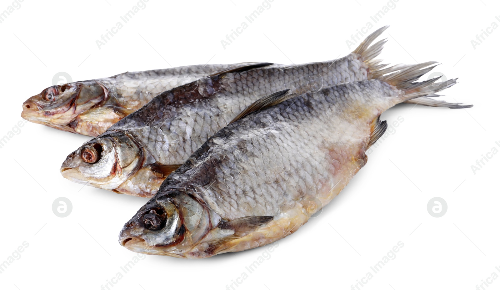 Photo of Dried salted roach fish isolated on white