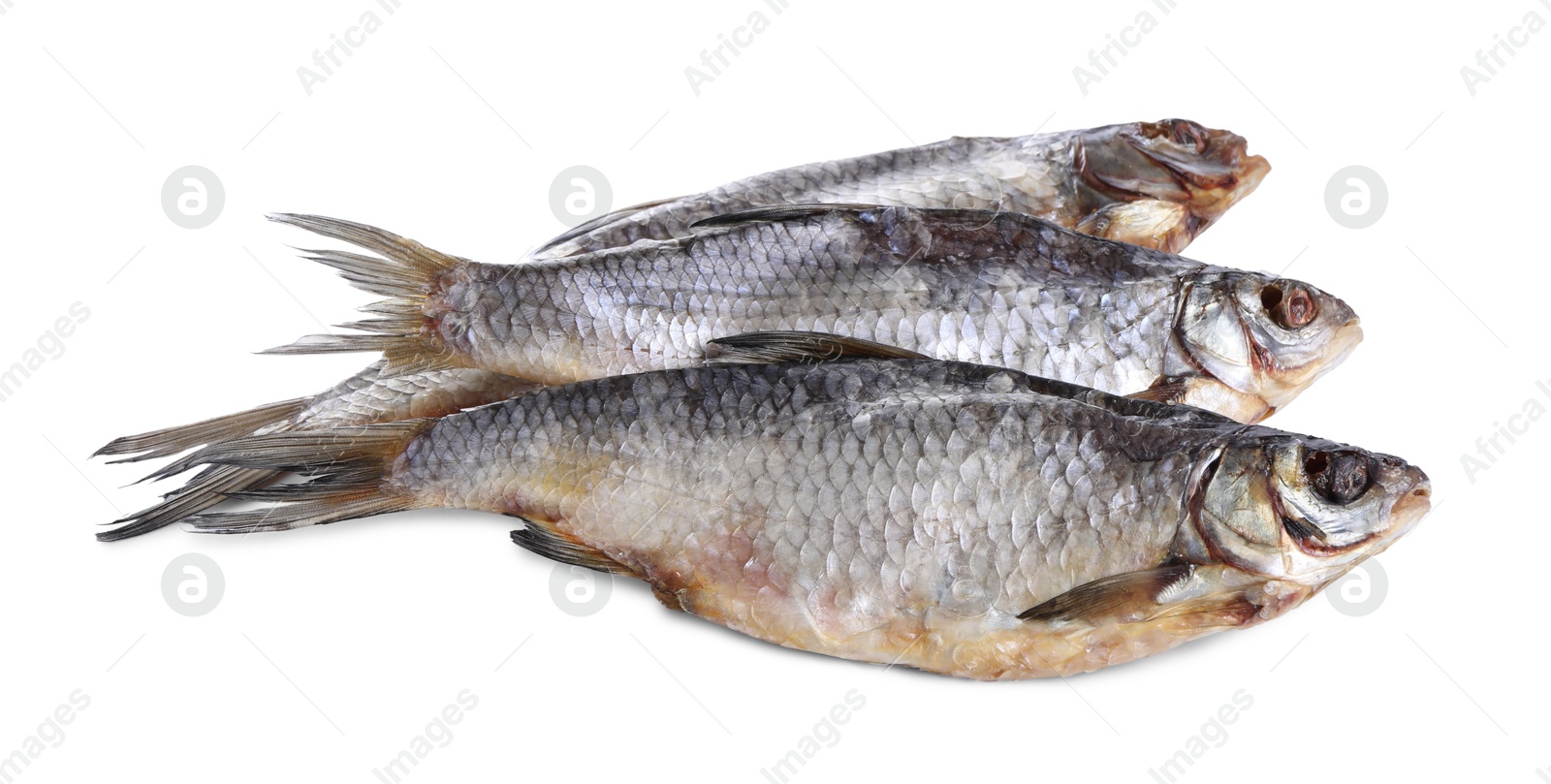 Photo of Dried salted roach fish isolated on white