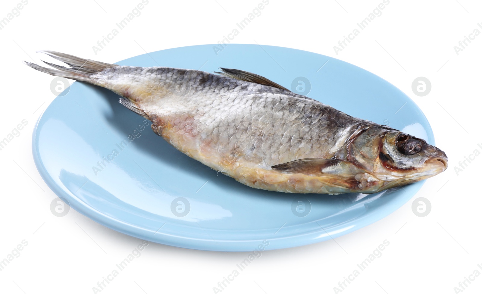 Photo of Dried salted roach fish isolated on white