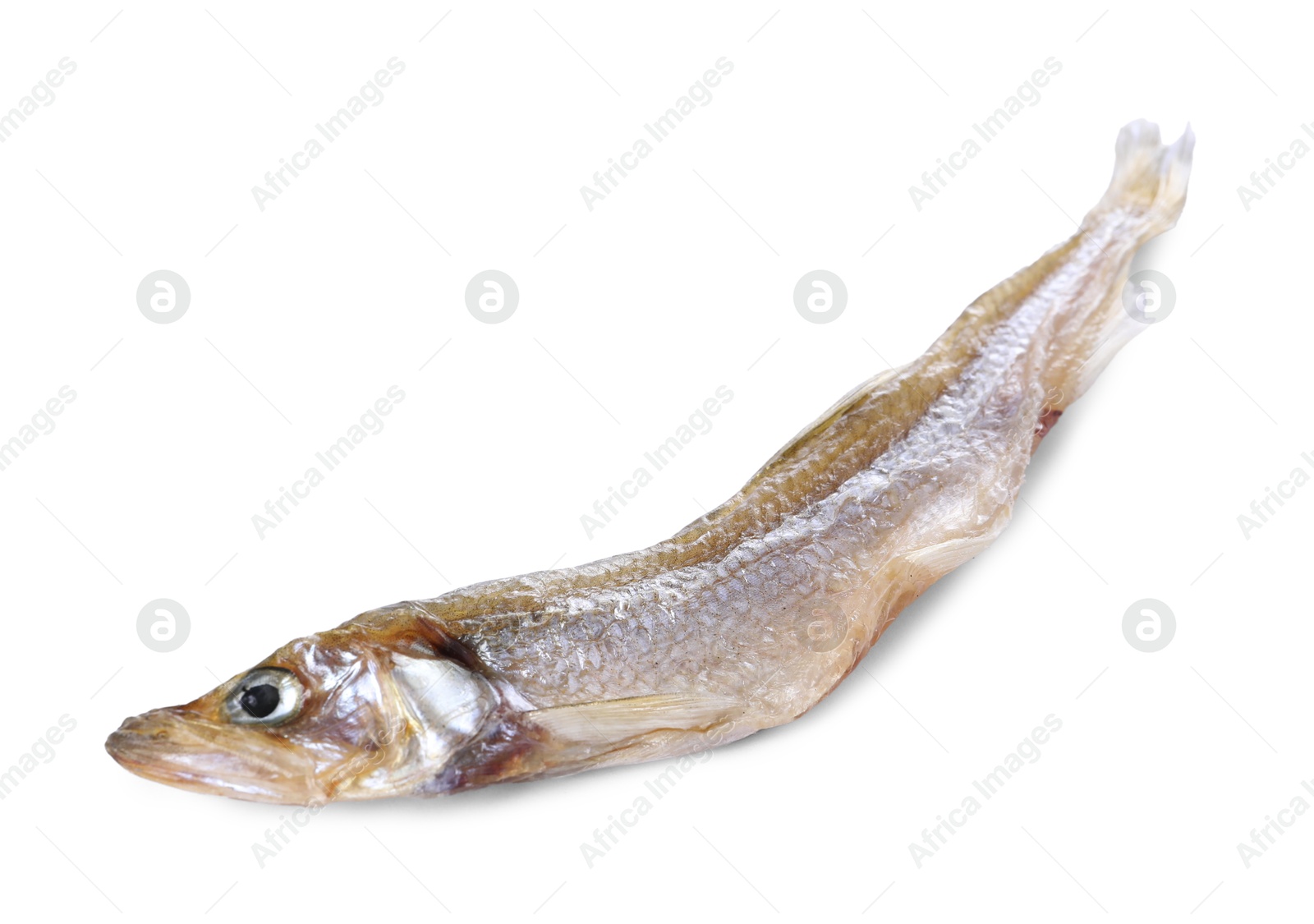 Photo of Dried salted smelt fish isolated on white