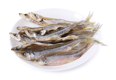 Dried salted smelt fish isolated on white