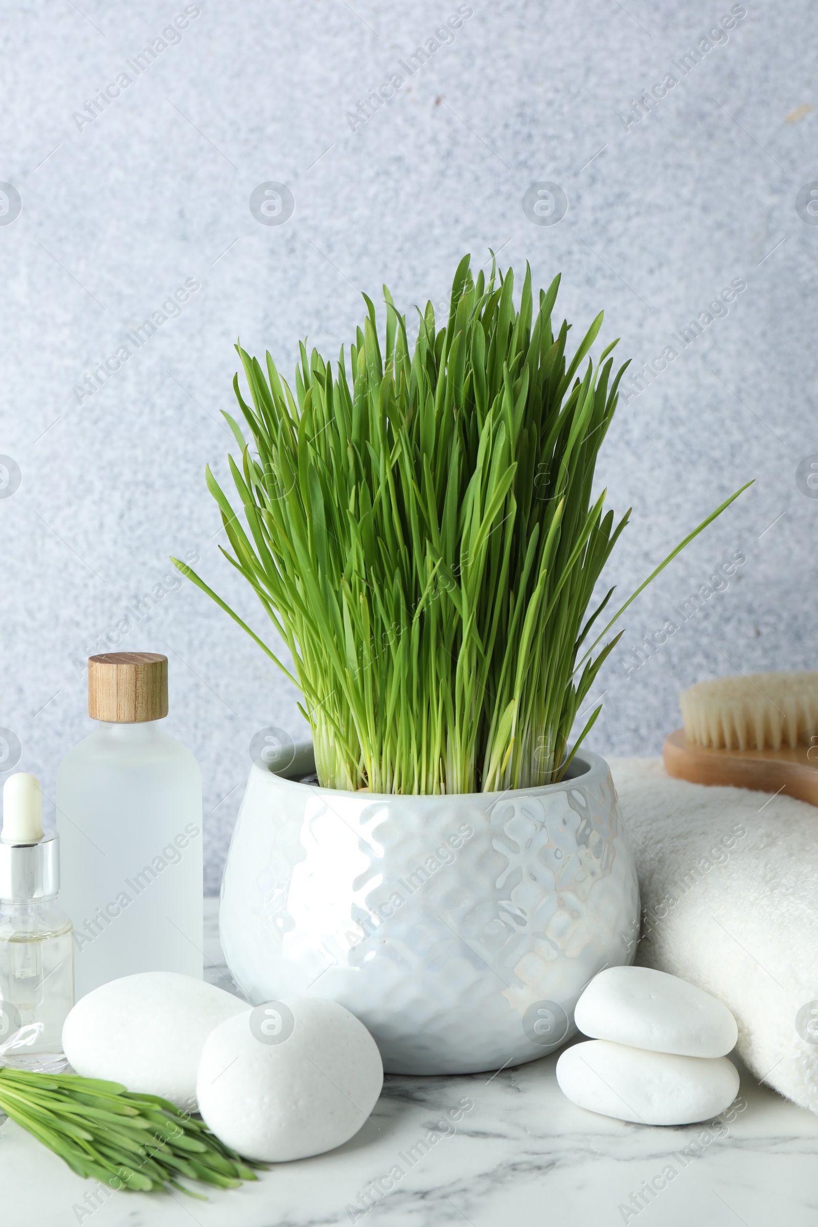 Photo of Spa composition with wheatgrass on white marble table