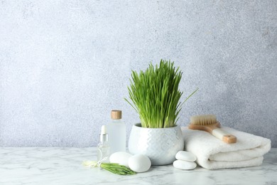 Photo of Spa composition with wheatgrass on white marble table. Space for text