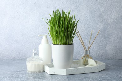 Spa composition with wheatgrass on grey table