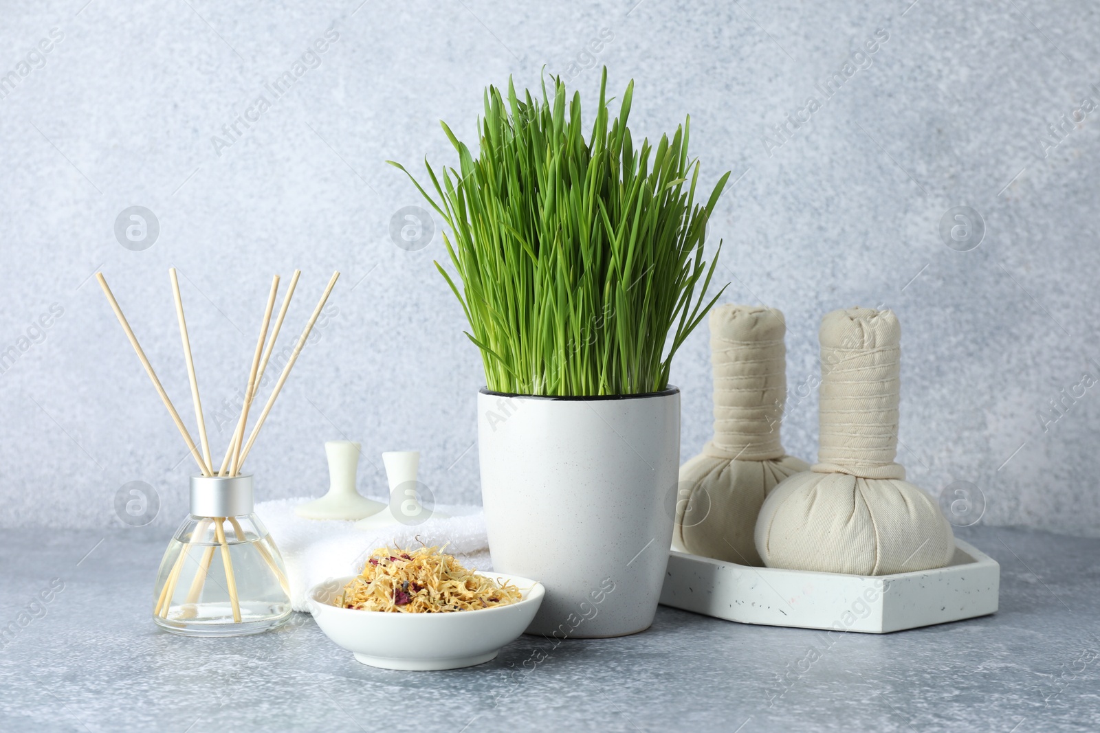 Photo of Spa composition with wheatgrass on grey table