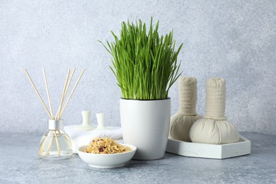 Spa composition with wheatgrass on grey table