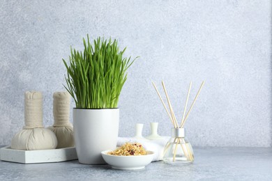 Spa composition with wheatgrass on grey table. Space for text