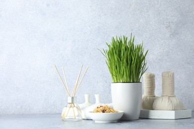 Spa composition with wheatgrass on grey table. Space for text