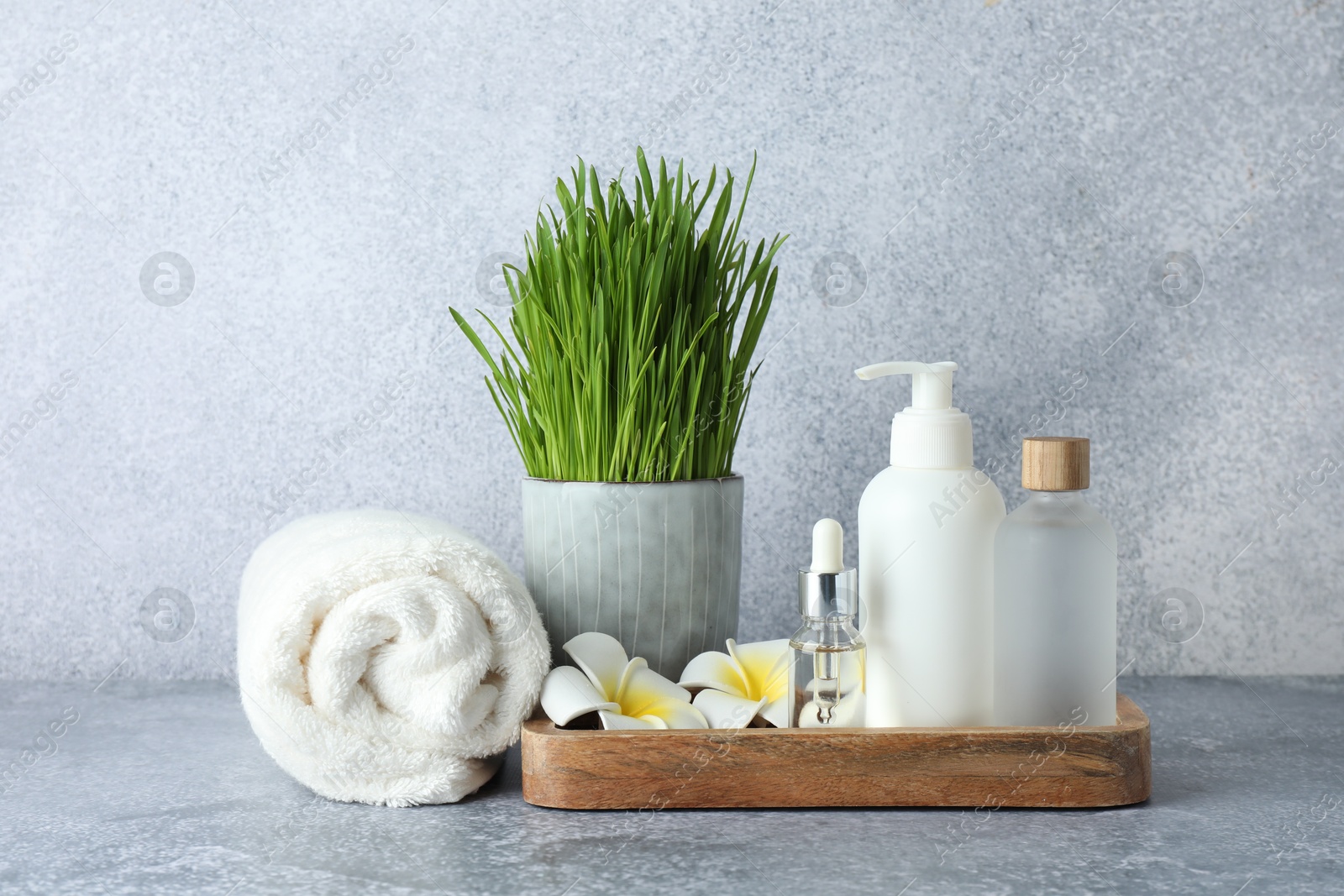 Photo of Spa composition with wheatgrass on grey table