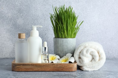 Photo of Spa composition with wheatgrass on grey table