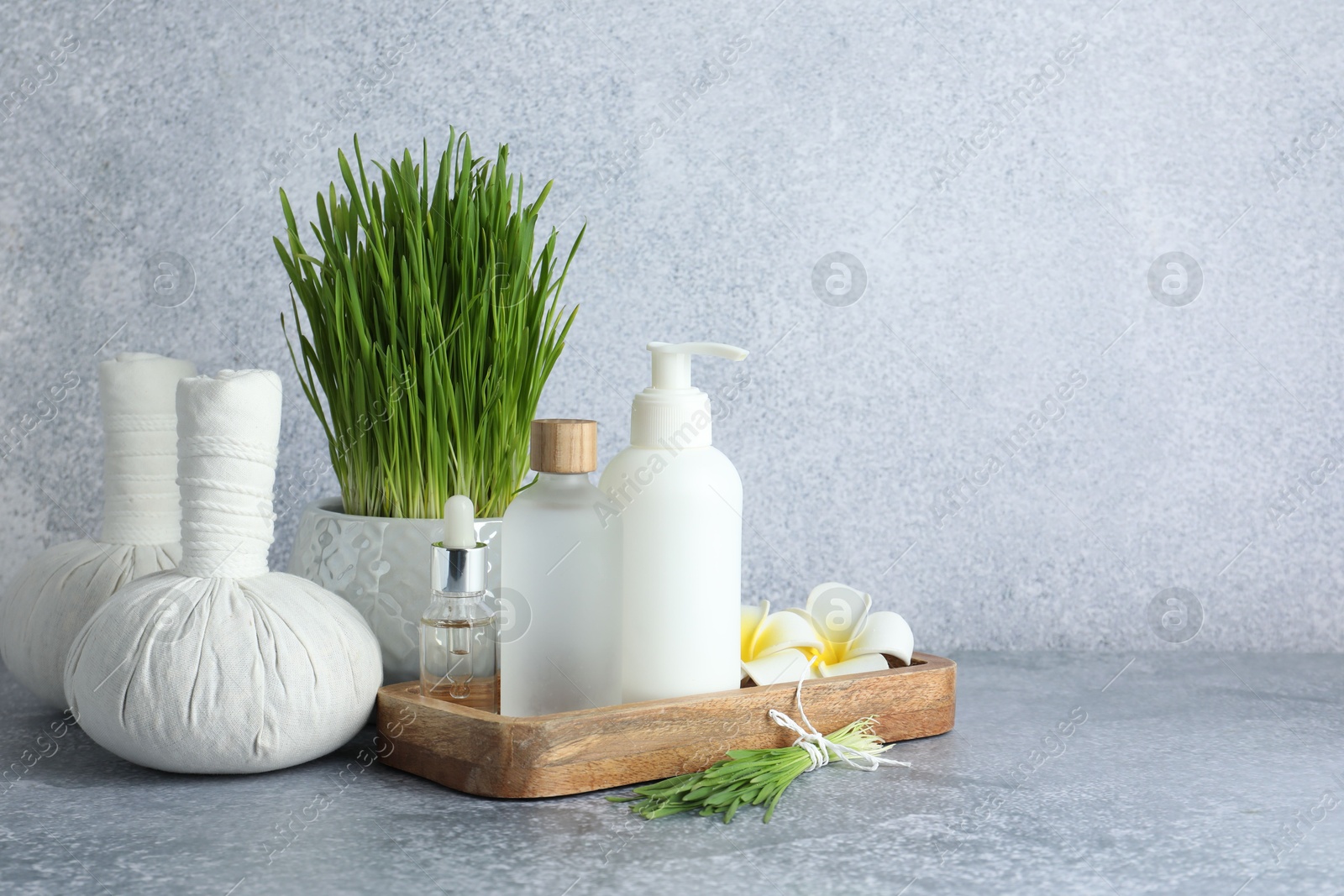 Photo of Spa composition with wheatgrass on grey table. Space for text