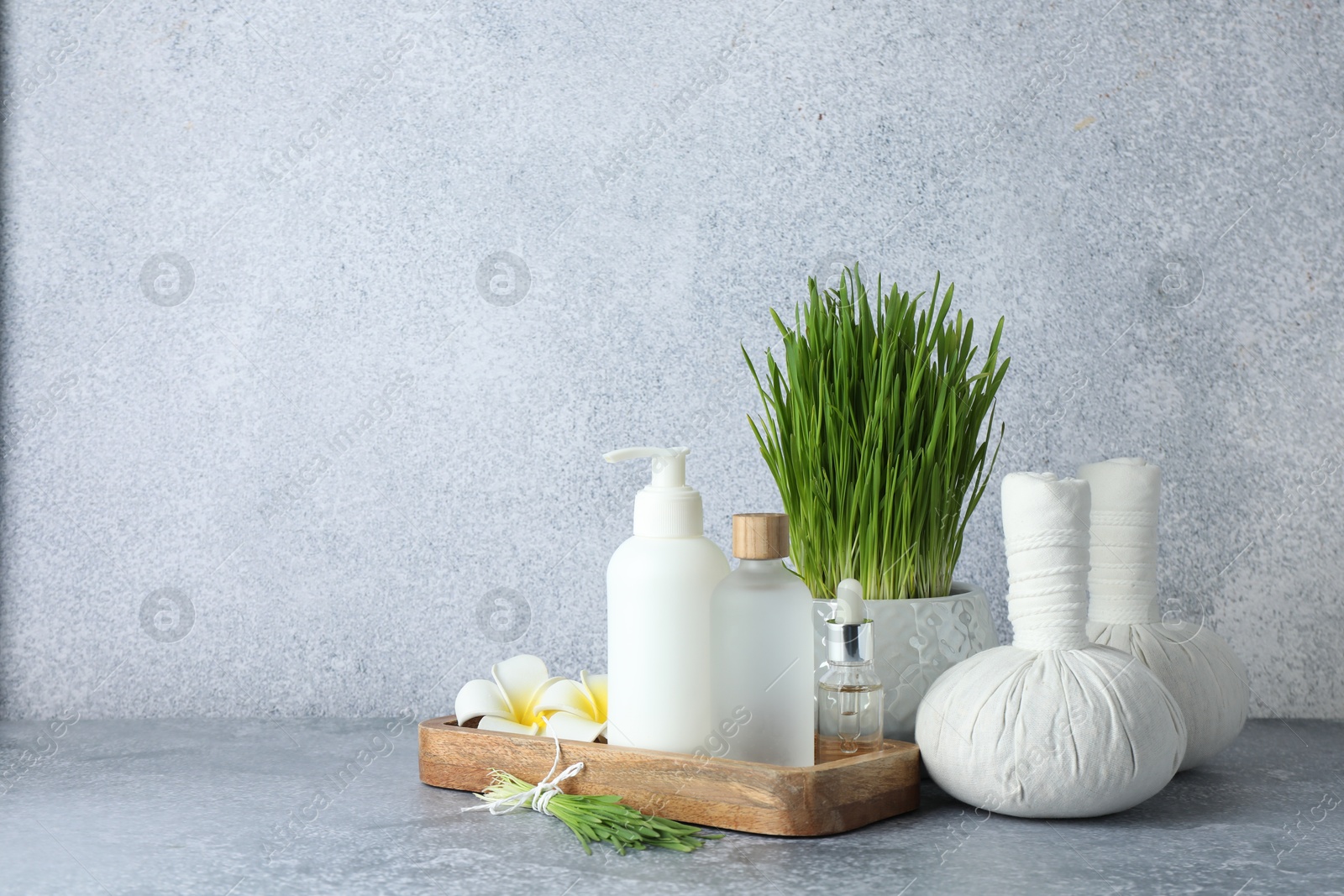 Photo of Spa composition with wheatgrass on grey table. Space for text