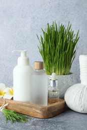 Photo of Spa composition with wheatgrass on grey table