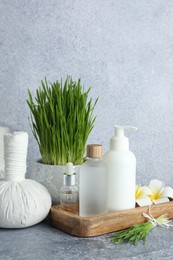 Spa composition with wheatgrass on grey table