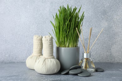 Photo of Spa composition with wheatgrass on grey table