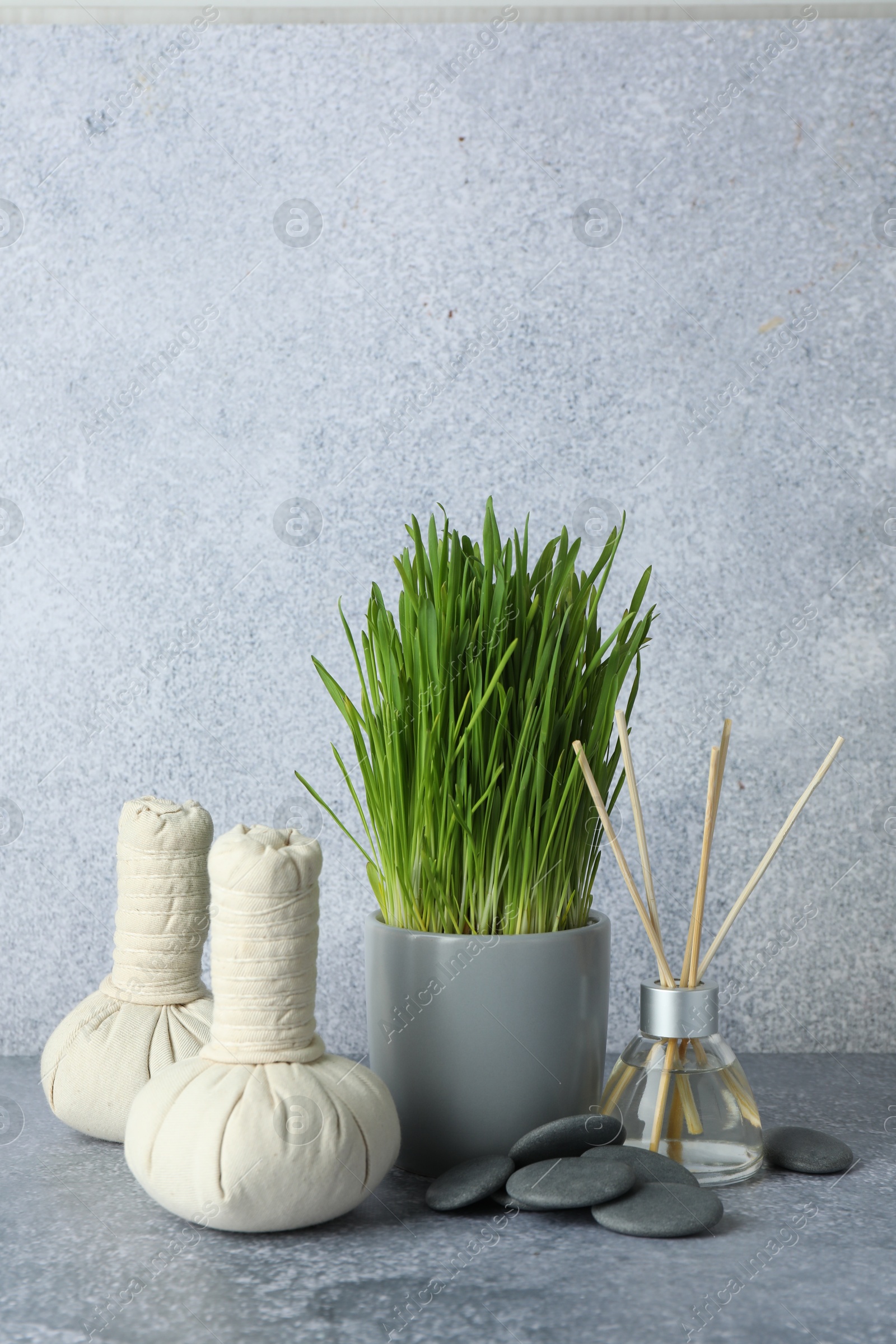 Photo of Spa composition with wheatgrass on grey table. Space for text