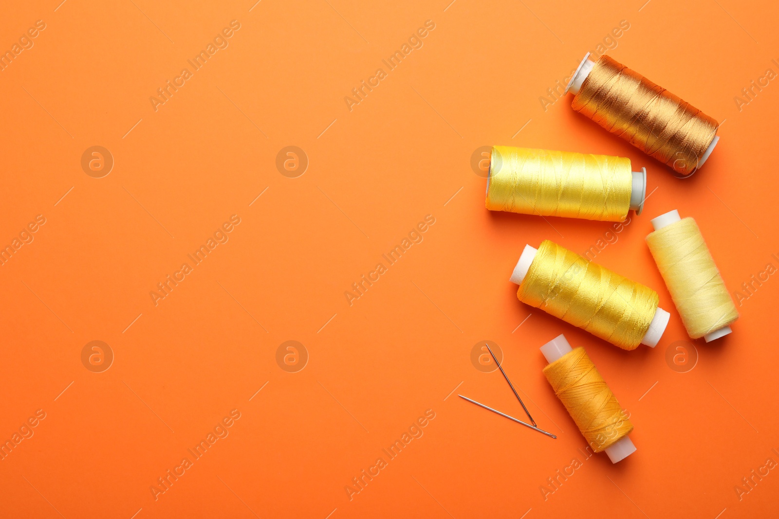 Photo of Spools of thread and needles on orange background, flat lay. Space for text