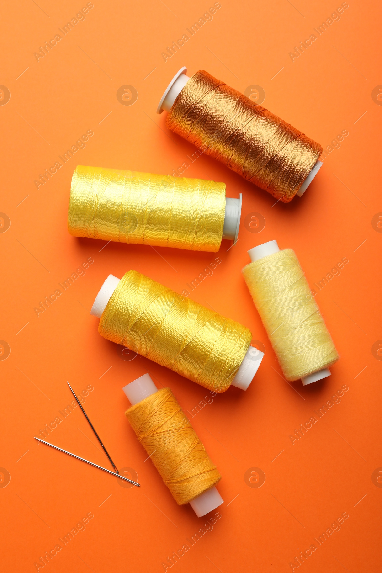 Photo of Spools of thread and needles on orange background, flat lay