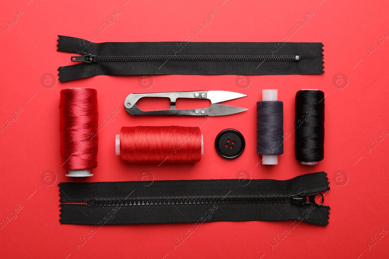 Photo of Different sewing supplies on red background, flat lay