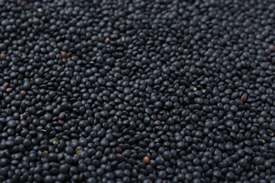 Photo of Raw black lentils as background, closeup view