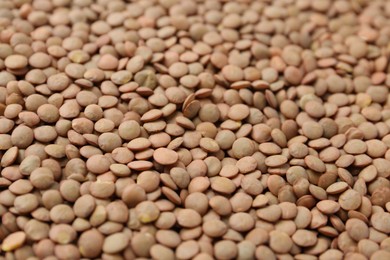 Photo of Raw brown lentils as background, closeup view