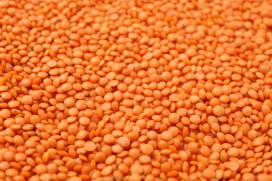 Photo of Raw red lentils as background, closeup view