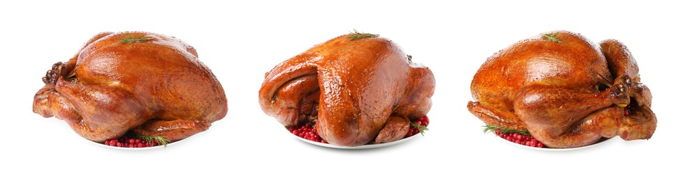 Image of Delicious baked turkey with cranberries and rosemary on white background, different sides. Collage