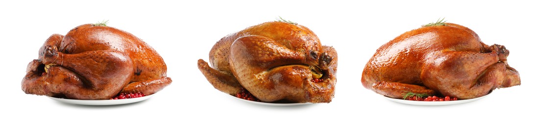 Image of Delicious baked turkey with cranberries and rosemary on white background, different sides. Collage