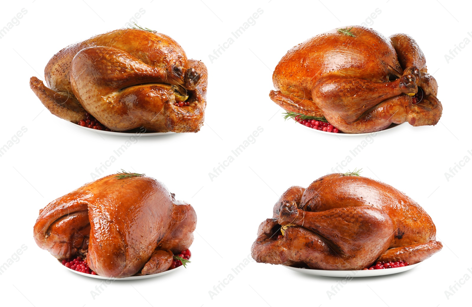 Image of Delicious baked turkey with cranberries and rosemary on white background, different sides. Collage